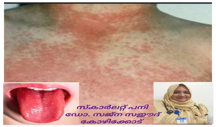 online-doctors-portal,health-news-articles,health-online-express,healthcare-india-news,medical-news-today-india