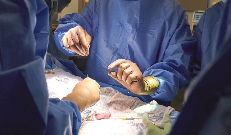 online-doctors-portal,health-news-articles,health-online-express,healthcare-india-news,medical-news-today-india