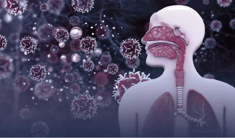 online-doctors-portal,health-news-articles,health-online-express,healthcare-india-news,medical-news-today-india
